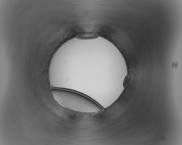 X0000112461249200909071102