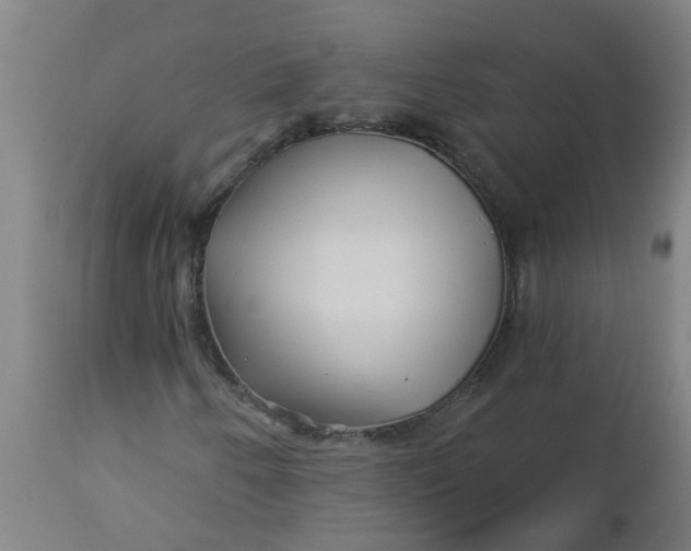 X0000112461250200909071102