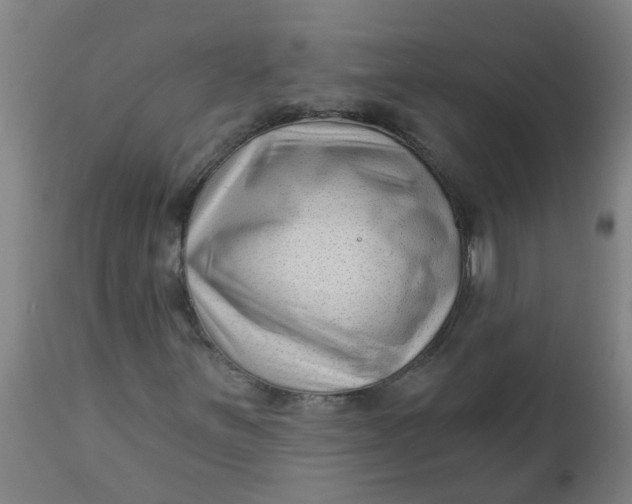 X0000112461251200909071102