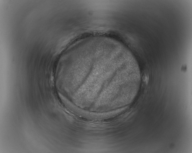 X0000112461252200909071102