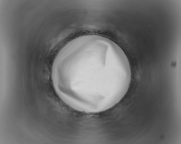 X0000112461253200909071102