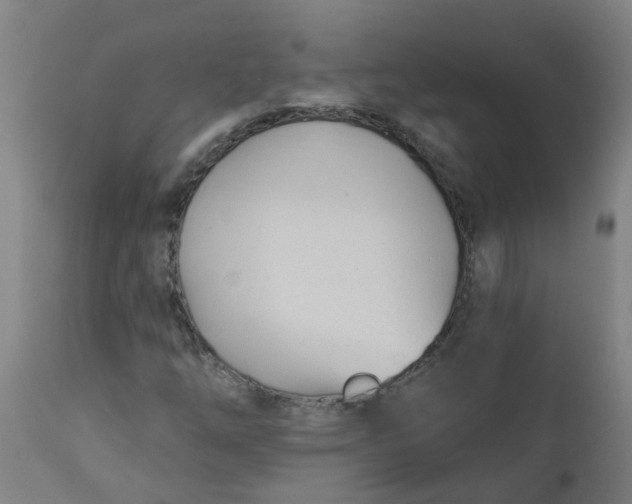 X0000112461254200909071102