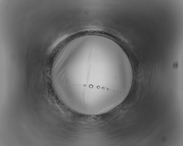 X0000112461255200909071101