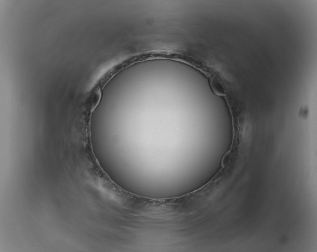 X0000112461256200909071101