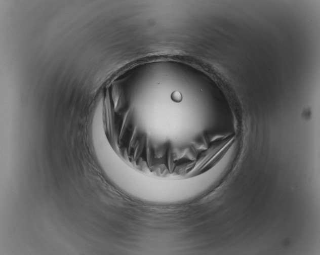 X0000112461257200909071101