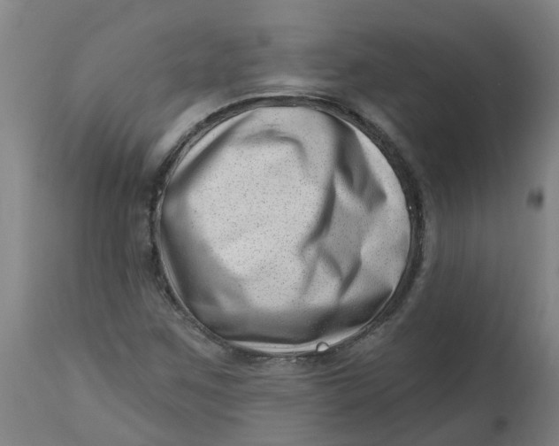 X0000112461259200909071101