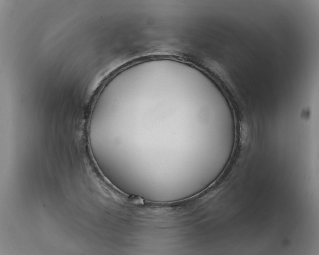 X0000112461260200909071101