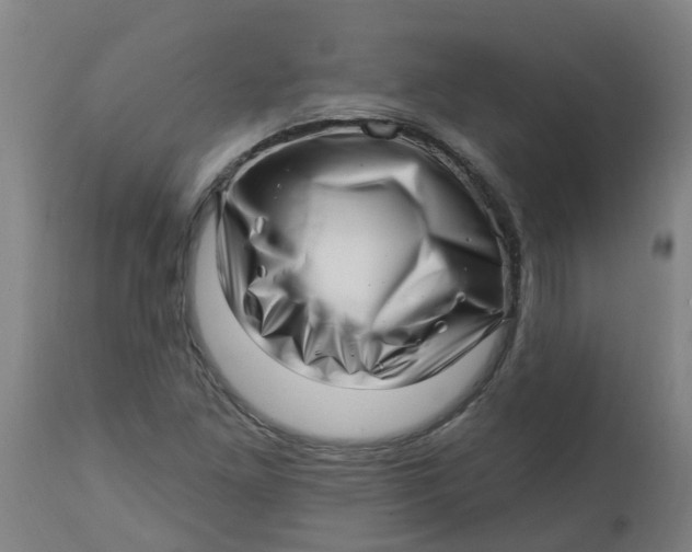 X0000112461261200909071101