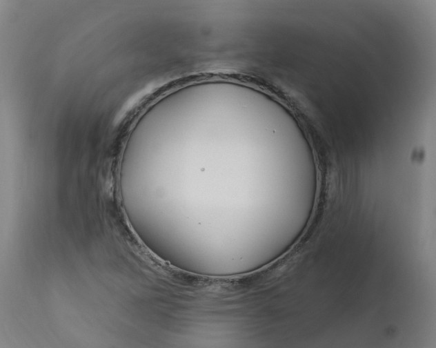 X0000112461262200909071101