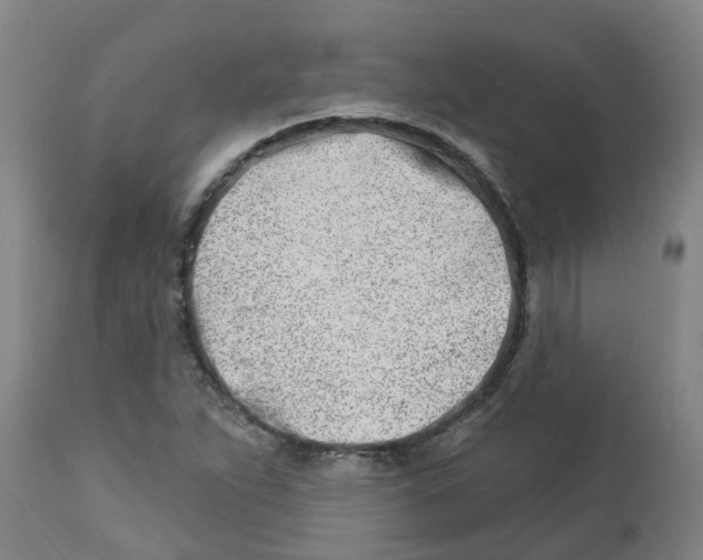 X0000112461263200909071101