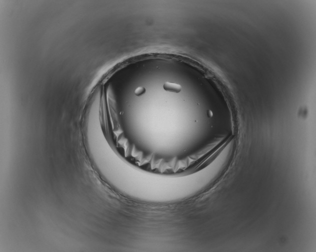 X0000112461264200909071101