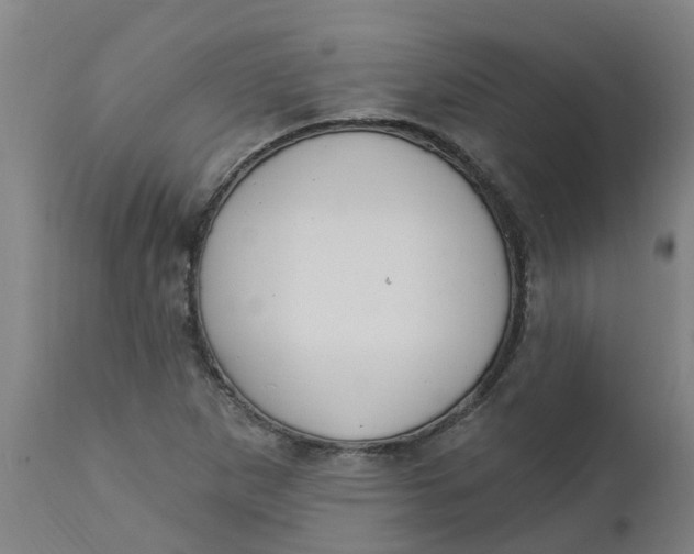 X0000112461265200909071101