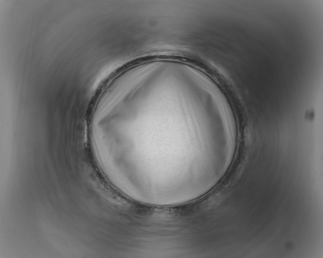 X0000112461267200909071101