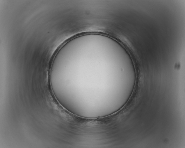 X0000112461268200909071101