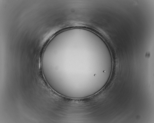 X0000112461269200909071101