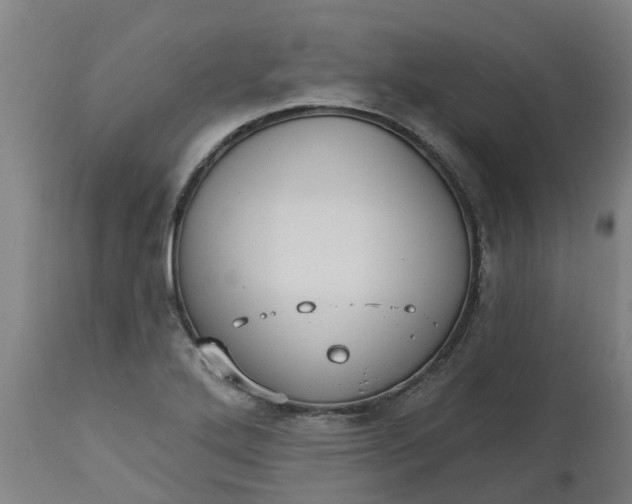 X0000112461272200909071101