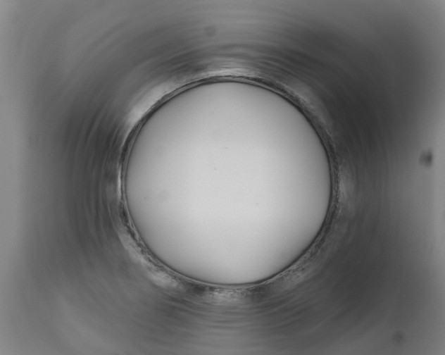 X0000112461274200909071101