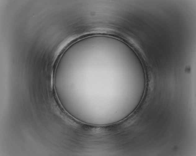 X0000112461275200909071101