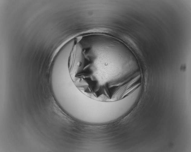 X0000112461276200909071101