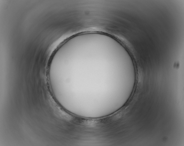 X0000112461278200909071101