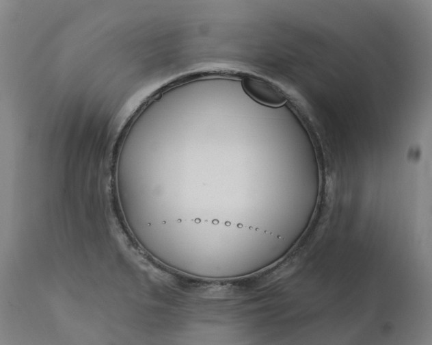 X0000112461279200909071101