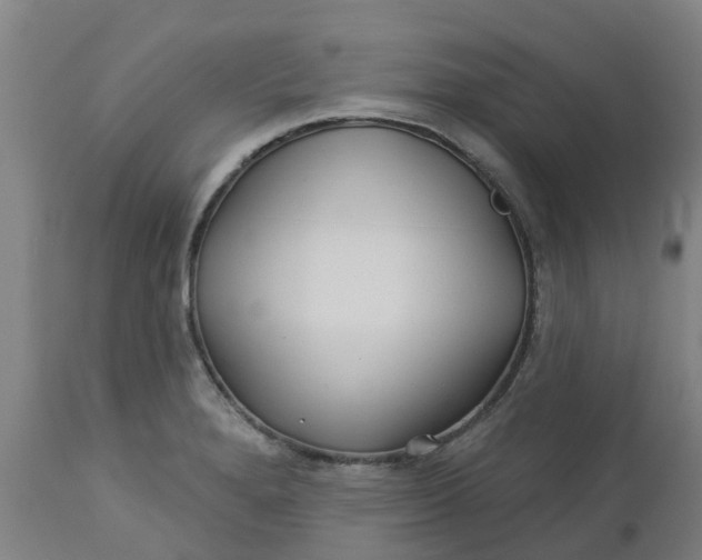 X0000112461280200909071101