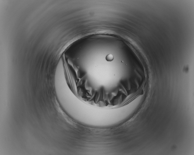 X0000112461281200909071101