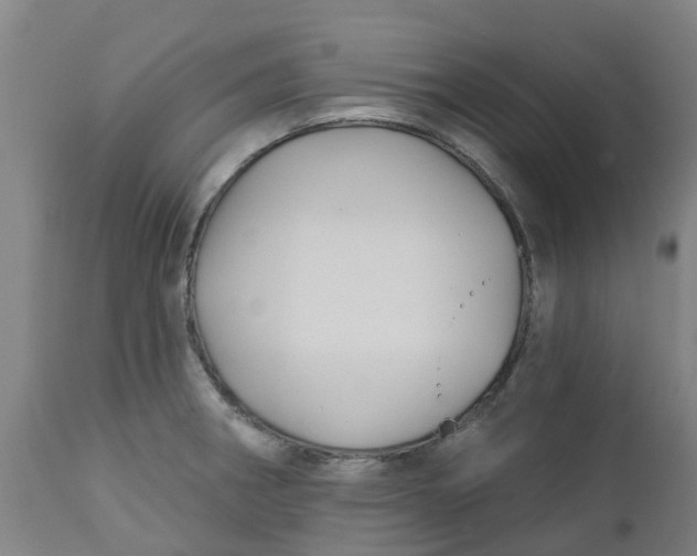 X0000112461282200909071101