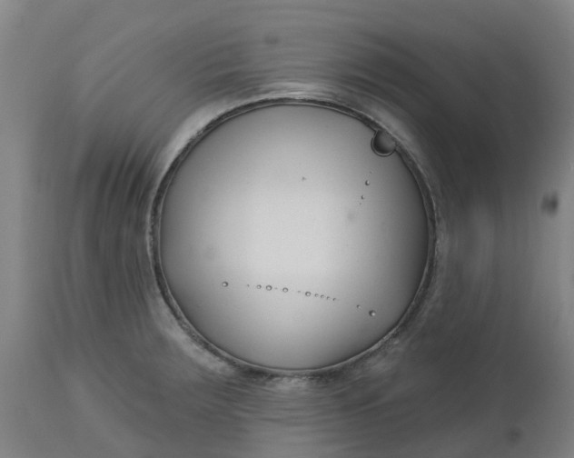 X0000112461283200909071101