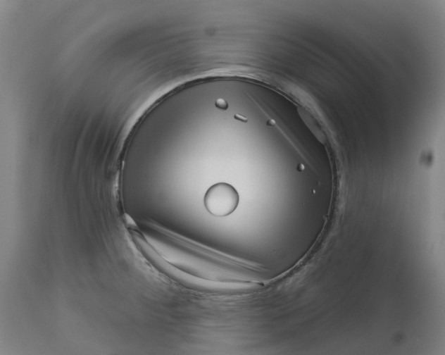 X0000112461284200909071101