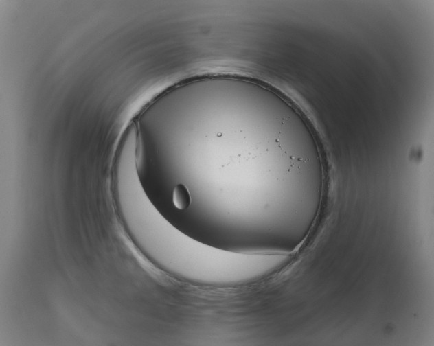 X0000112461285200909071101