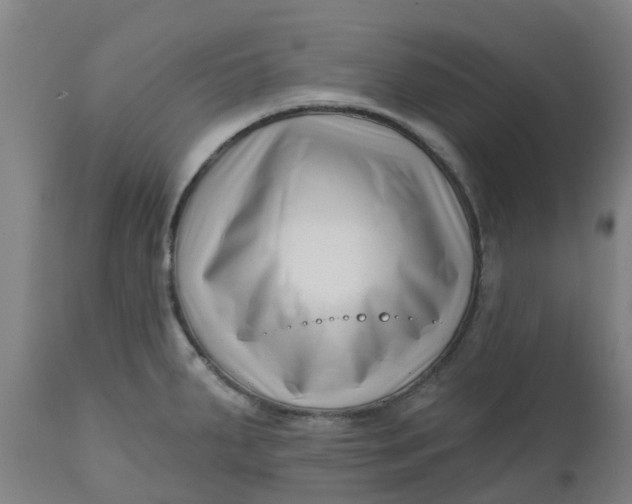 X0000112461287200909071101