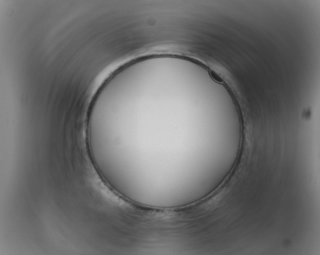 X0000112461288200909071101