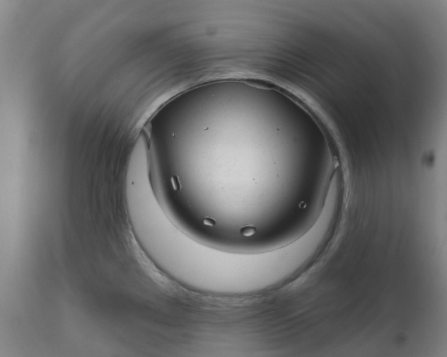 X0000112461289200909071101