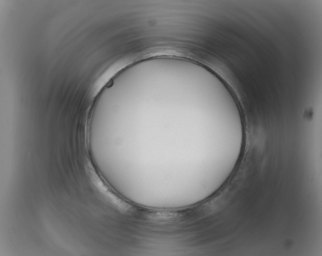 X0000112461290200909071101