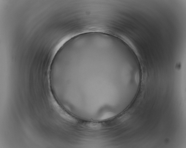 X0000112461291200909071101