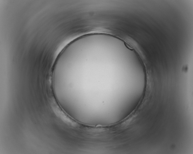 X0000112461292200909071101