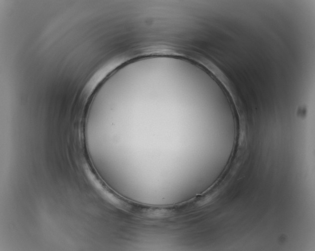 X0000112461293200909071101