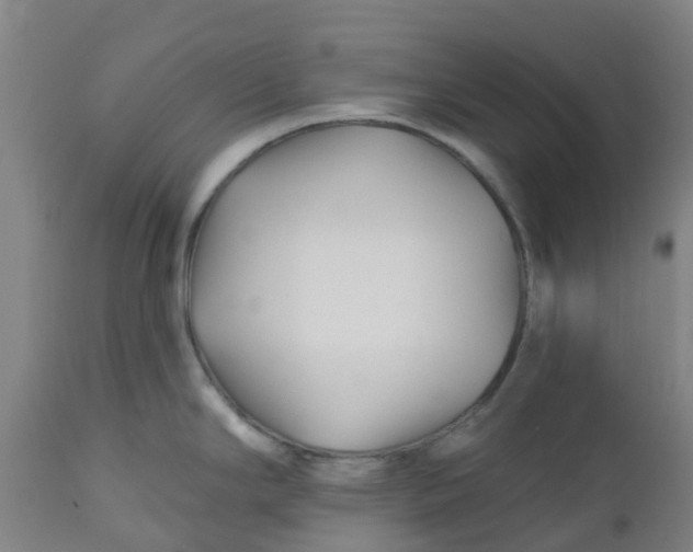 X0000112461294200909071101