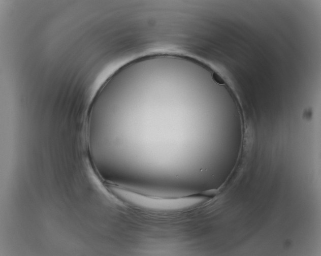 X0000112461295200909071101