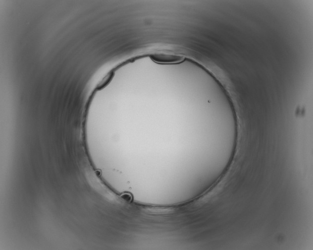 X0000112461296200909071101