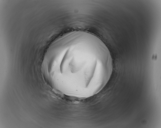 X0000112461297200909071100