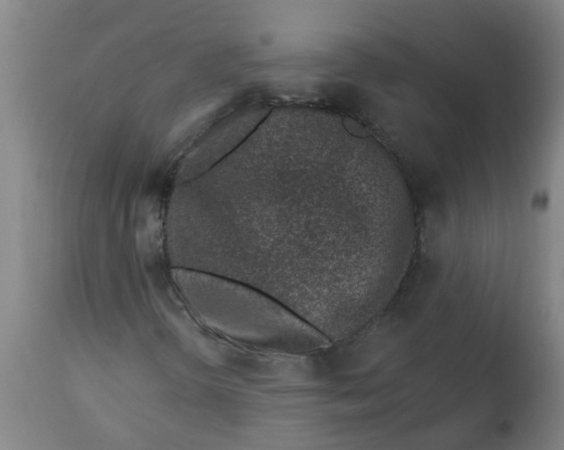 X0000112461298200909071100