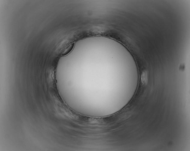 X0000112461299200909071100