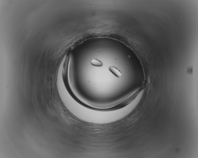 X0000112461300200909071100