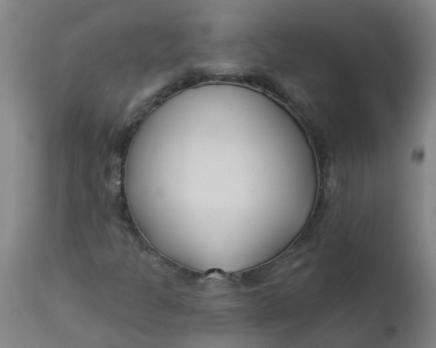 X0000112461301200909071100