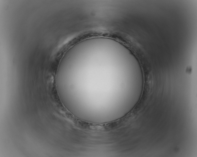 X0000112461302200909071100