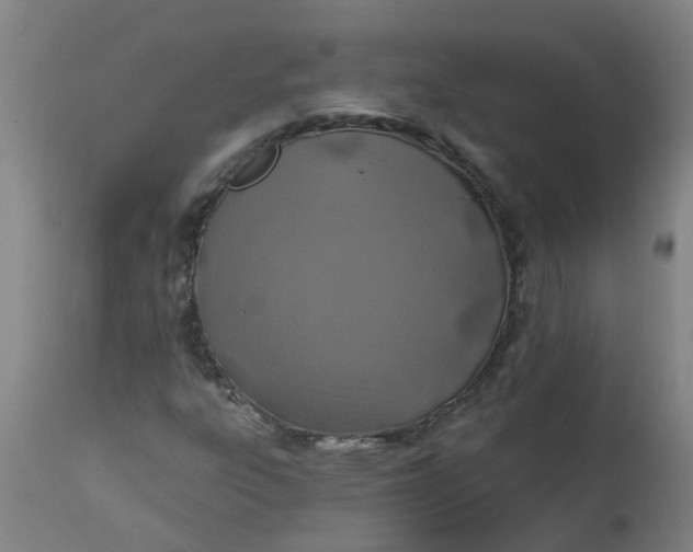 X0000112461303200909071100