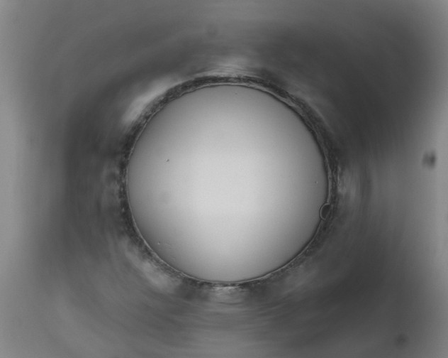 X0000112461304200909071100