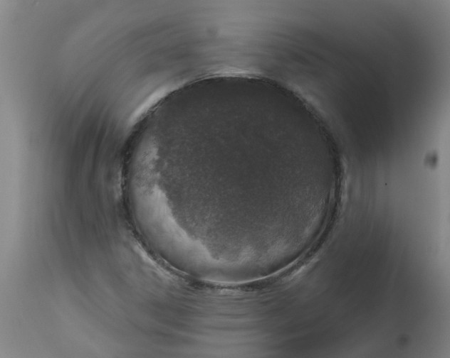 X0000112461306200909071100